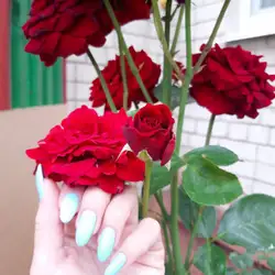 Анна — Чернигов