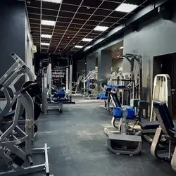 Феромон на Холодній Горі