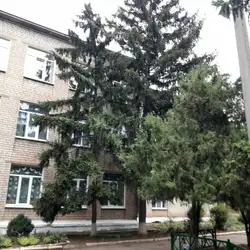 Загальноосвітня школа №43