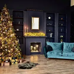 Light Studio Metropolitan — Полтава
