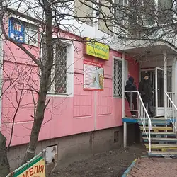 Камелія