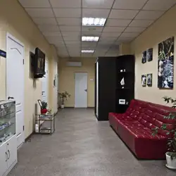 Твоя посмішка