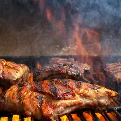 mangal.org.ua — Київ