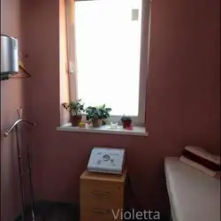 Віолетта Зеленська