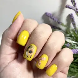 Ірина Приміна