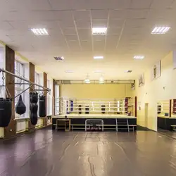 Класична школа боксу