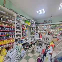 БЕРЕЗА ВЕТАПТЕКА