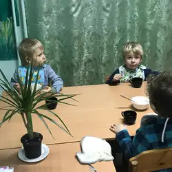 Янголятко індіго