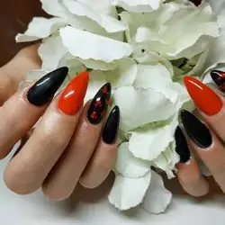 Неллі