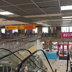 Два гуся
