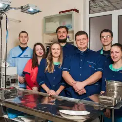 Ветеринарна клініка ОлВет - Молодіжна