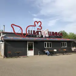 Шипшина