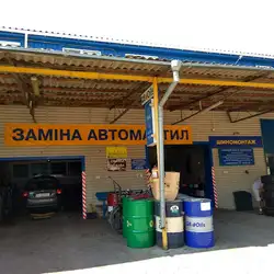 Професіонал