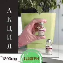 Ольга Кириченко - Полтава — Полтава