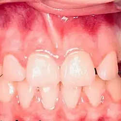 Юлія Лань