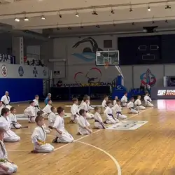 Спортивна Школа KUDO - Лиманка