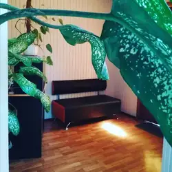 Класик
