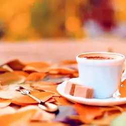 Кав'ярня New Casta Coffee Room — Київ