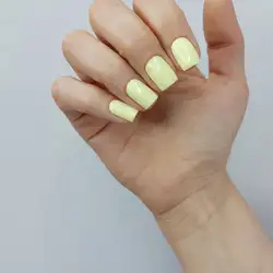 Judi