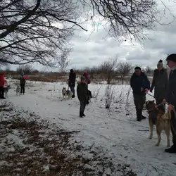 Kharkiv sleddog team
