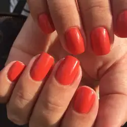 Nail studio555