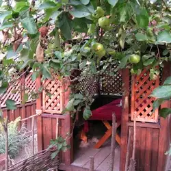 Фільварок на Левандівці