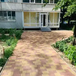 Colorista Mozgova
