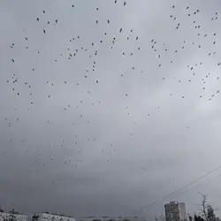 Салтівський Двір — Харків