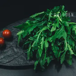 Goloden.com.ua — Киев