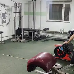 Гриф