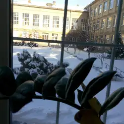 Технічний ліцей