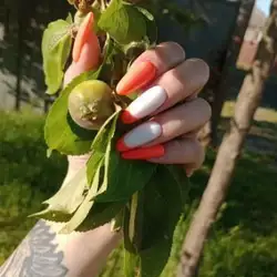 Юлія Завалій