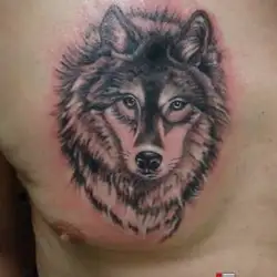 Tattoo Makers