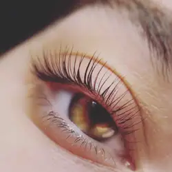 IrenLashesDp