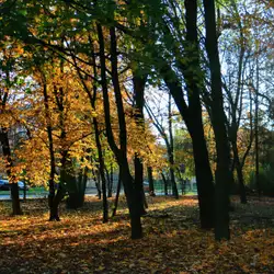 Школа №40 — Львів