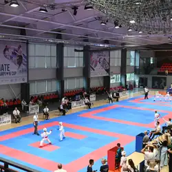 Спортклуб тхеквондо Юніор - Ірининська