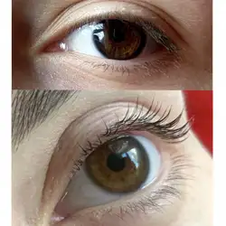 Бровіст Олеся