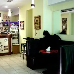 Cat Cafe — Днепр