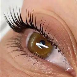 The Queen’s Look Lash Brow