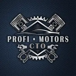 PROFI MOTORS