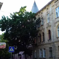 Львівська загальноосвітня школа І-ІІІ ступенів №24 ім. Марії Конопницької
