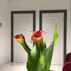 Beauty code clinic