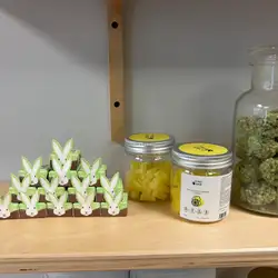Hemp Cafe