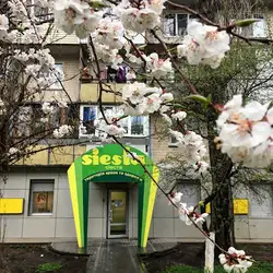 Салон краси Siesta