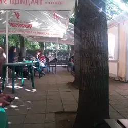 Літник — Житомир