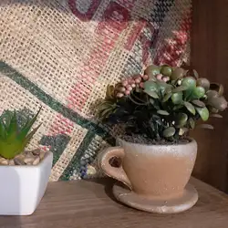 Кав'ярня Coffee Bean — Киев