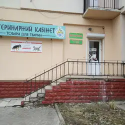 Ветпрактік