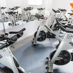 Endurance school
