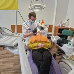 Фіалка