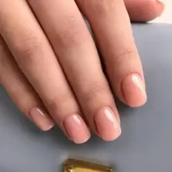 Галина Шульга